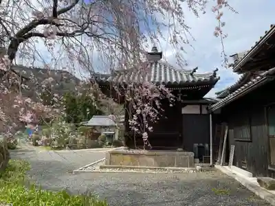 三鈷寺(京都府)