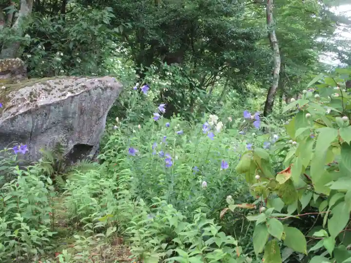 青龍山 吉祥寺(群馬県)