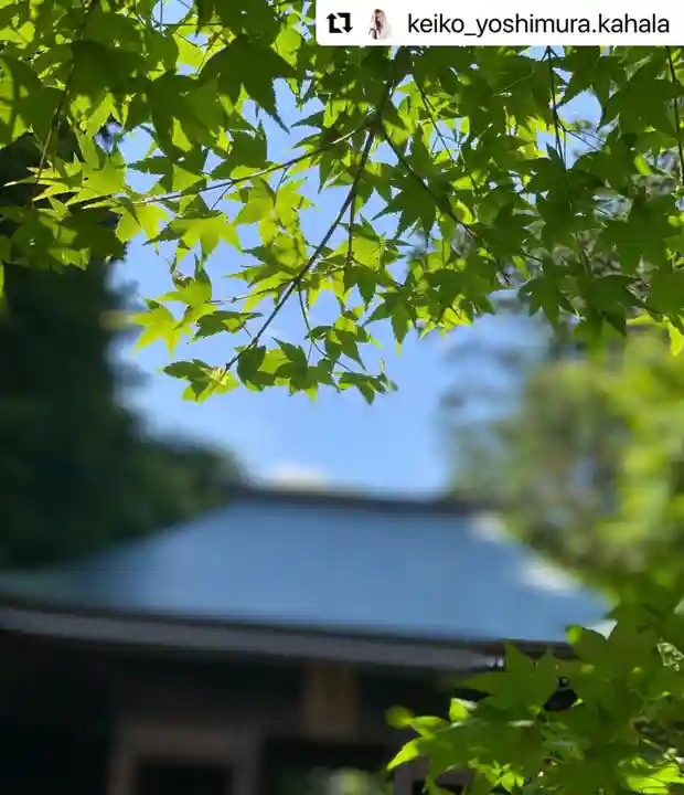 普門寺(切り絵御朱印発祥の寺)のその他建物