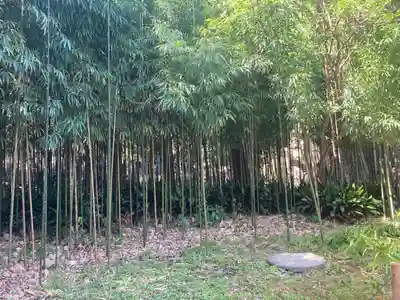 浄智寺(神奈川県)