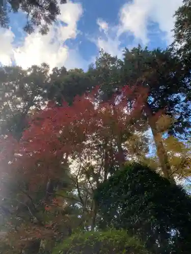 龍潭寺(静岡県)