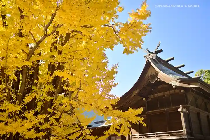 葛飾八幡宮の本殿・本堂