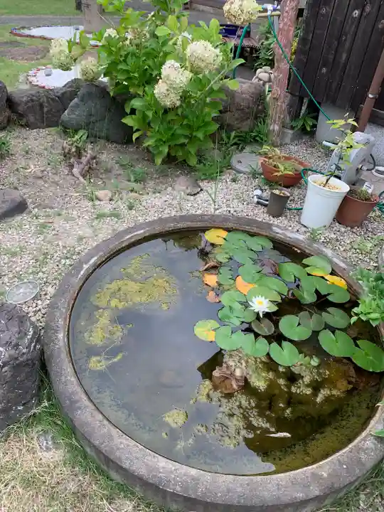 四季桜の寺 妙乗院のその他建物
