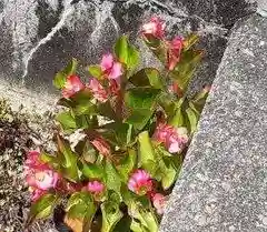 西方山極楽寺の自然