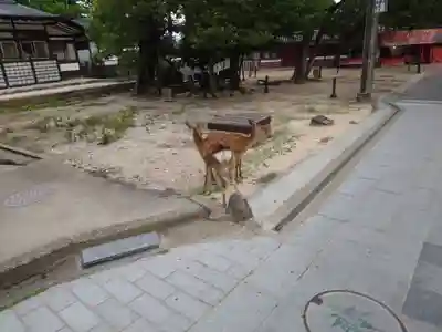 厳島神社(広島県)