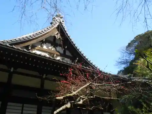 安國論寺（安国論寺）のその他建物