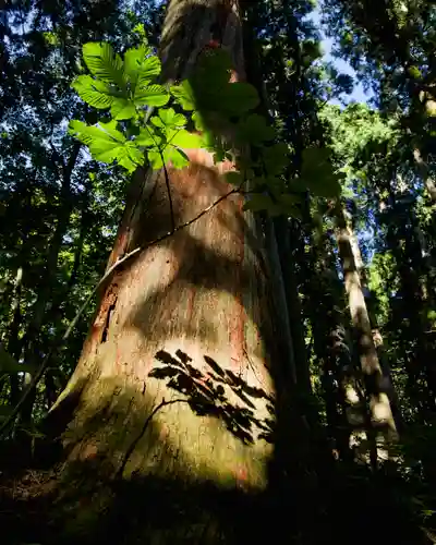 戸隠神社奥社(長野県)