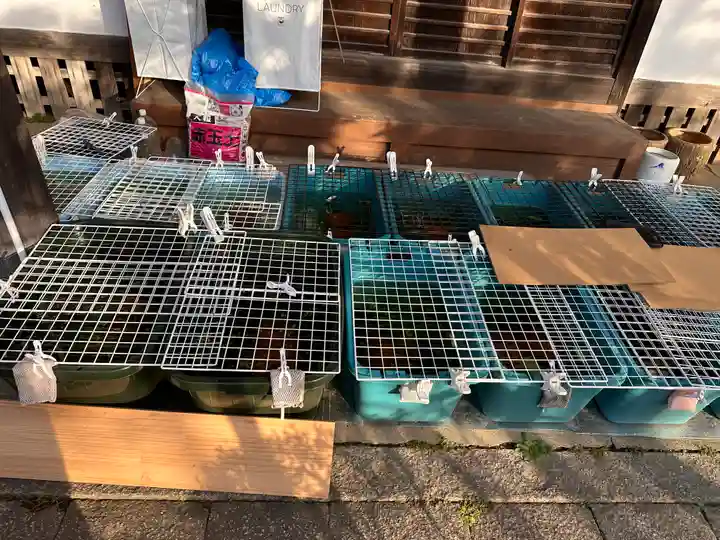 徳勝寺(滋賀県)