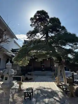 瑞光寺の{uncategorized: "未分類", other: "その他", undefined: "問題あり", building: "その他建物", grave: "お墓", sacred_gate: "鳥居", guardian: "狛犬", statue: "像", buddha: "仏像", history: "歴史", nature: "自然", garden: "庭園", animal: "動物", pagoda: "塔", temizu: "手水舎", mountain_gate: "山門・神門", sanctuary: "本殿・本堂", subordinate: "末社・摂社", art: "芸術", scenery: "景色", jizo: "地蔵", ema: "絵馬", goshuin: "御朱印", omikuji: "おみくじ", items: "授与品その他", amulet: "お守り", goshuincho: "御朱印帳", eats: "食事", festival: "お祭り", votive_dance: "神楽", shichigosan: "七五三参", wedding: "結婚式", experience: "体験その他", initially: "初詣", around: "周辺", anti_infection: "感染症対策"}