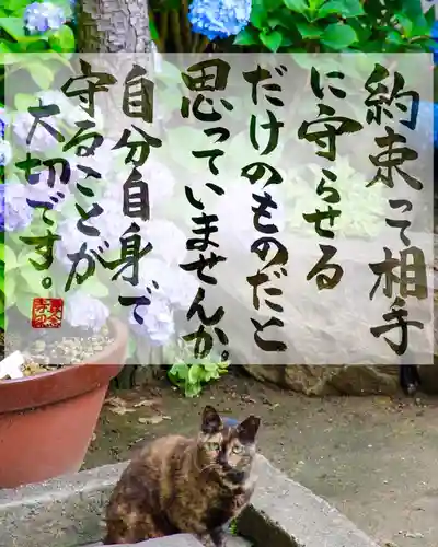 専念寺(大阪府)