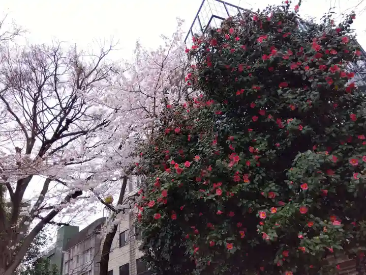湯島聖堂(東京都)