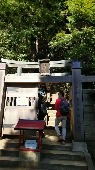 大山阿夫利神社本社(神奈川県)