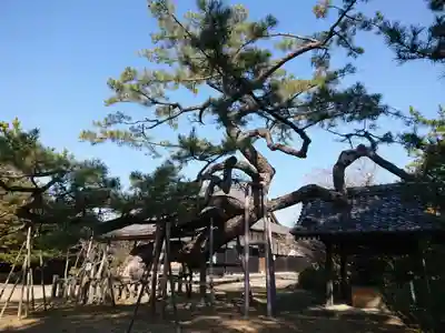 本宗寺(愛知県)