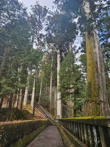 日光東照宮(栃木県)