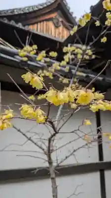 本法寺(京都府)