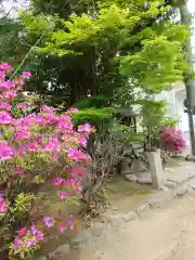 本莊神社(岐阜県)