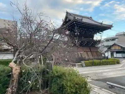 妙蓮寺(京都府)