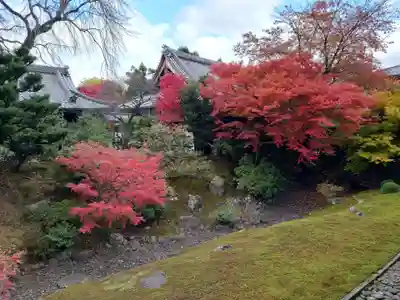 相国寺（相国承天禅寺）(京都府)
