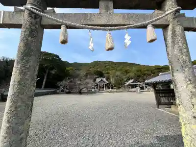 御崎神社の{uncategorized: "未分類", other: "その他", undefined: "問題あり", building: "その他建物", grave: "お墓", sacred_gate: "鳥居", guardian: "狛犬", statue: "像", buddha: "仏像", history: "歴史", nature: "自然", garden: "庭園", animal: "動物", pagoda: "塔", temizu: "手水舎", mountain_gate: "山門・神門", sanctuary: "本殿・本堂", subordinate: "末社・摂社", art: "芸術", scenery: "景色", jizo: "地蔵", ema: "絵馬", goshuin: "御朱印", omikuji: "おみくじ", items: "授与品その他", amulet: "お守り", goshuincho: "御朱印帳", eats: "食事", festival: "お祭り", votive_dance: "神楽", shichigosan: "七五三参", wedding: "結婚式", experience: "体験その他", initially: "初詣", around: "周辺", anti_infection: "感染症対策"}