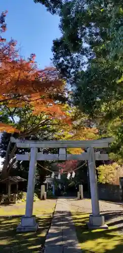 国府台天満宮の鳥居