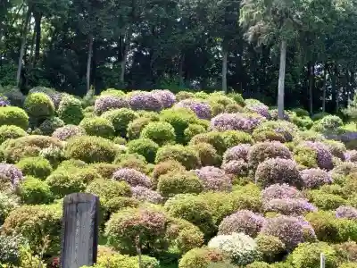 塩船観音寺(東京都)