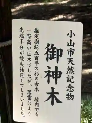 間々田八幡宮(栃木県)