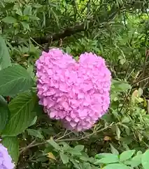 大本山誕生院  の御朱印