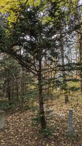興国神社の自然