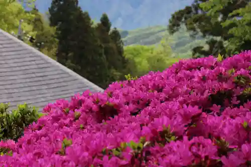 国宝 大法寺(長野県)