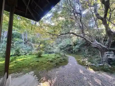 厭離庵の{uncategorized: "未分類", other: "その他", undefined: "問題あり", building: "その他建物", grave: "お墓", sacred_gate: "鳥居", guardian: "狛犬", statue: "像", buddha: "仏像", history: "歴史", nature: "自然", garden: "庭園", animal: "動物", pagoda: "塔", temizu: "手水舎", mountain_gate: "山門・神門", sanctuary: "本殿・本堂", subordinate: "末社・摂社", art: "芸術", scenery: "景色", jizo: "地蔵", ema: "絵馬", goshuin: "御朱印", omikuji: "おみくじ", items: "授与品その他", amulet: "お守り", goshuincho: "御朱印帳", eats: "食事", festival: "お祭り", votive_dance: "神楽", shichigosan: "七五三参", wedding: "結婚式", experience: "体験その他", initially: "初詣", around: "周辺", anti_infection: "感染症対策"}