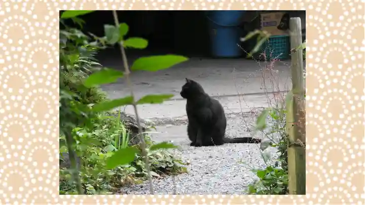 龍願寺(群馬県)