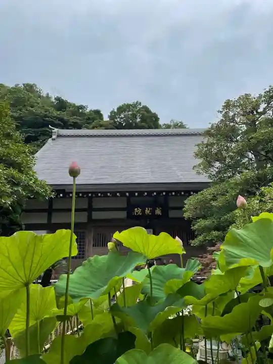 成就院の庭園