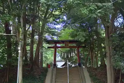 氷川女體神社の鳥居
