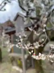 北野天満宮の自然