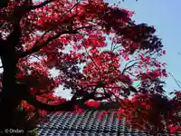 松尾寺(京都府)