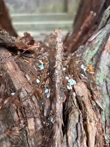 伊和神社(兵庫県)