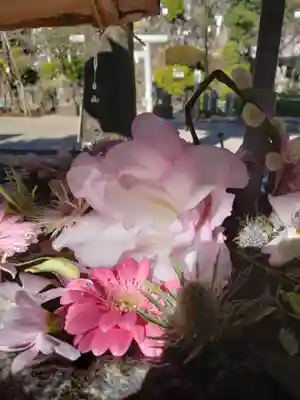 鳩森八幡神社(東京都)