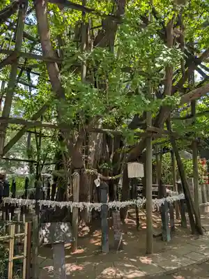 稲毛神社(神奈川県)