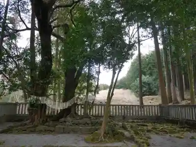 山宮浅間神社(静岡県)