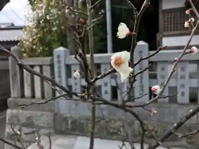 宇原神社(福岡県)
