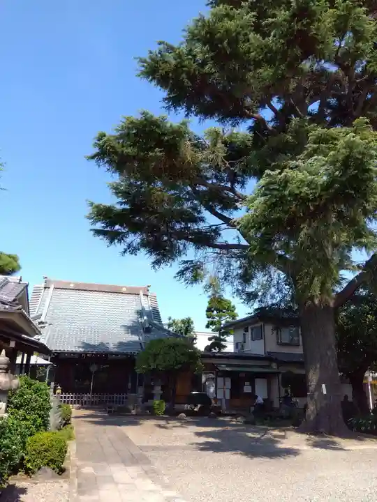 文殊院のその他建物