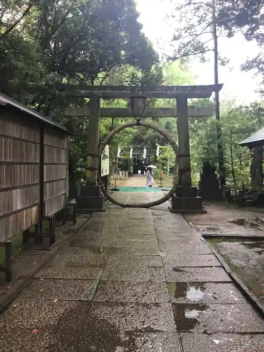 赤坂氷川神社の鳥居