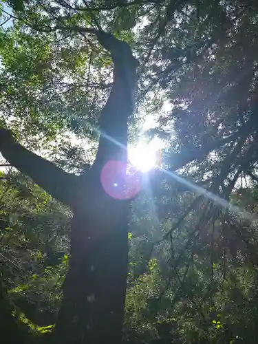 荒倉神社の自然