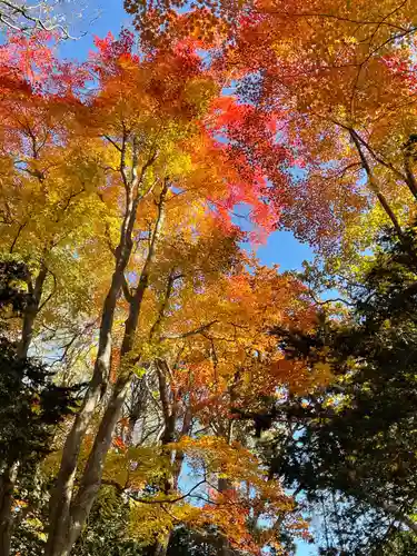 幌内神社の自然