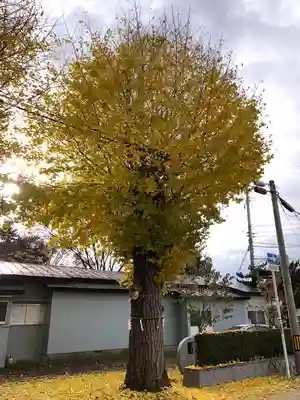 黒石神社(青森県)