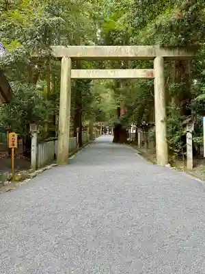 椿大神社の鳥居