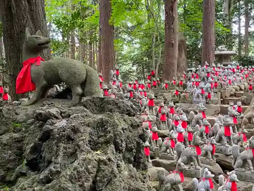 豊川閣　妙厳寺の狛犬