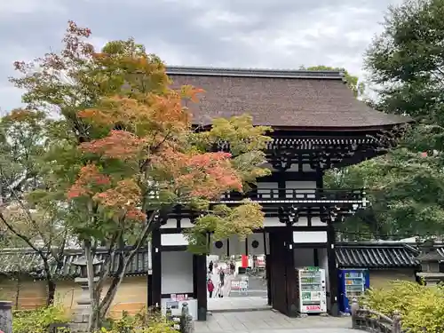 松尾大社(京都府)