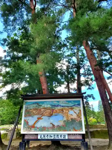 毛越寺(岩手県)