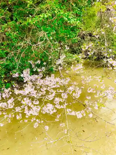 真城院(千葉県)